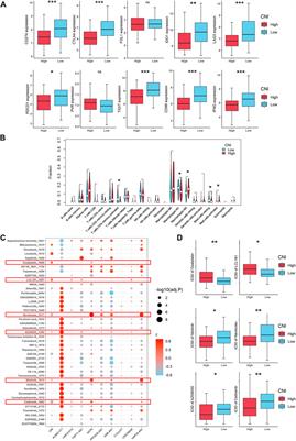 Establishment of a Cell Necroptosis Index to Predict Prognosis and Drug Sensitivity for Patients With Triple-Negative Breast Cancer